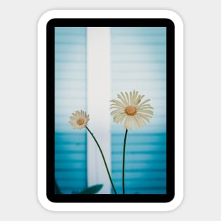 Abstract daisies Sticker